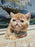 Pet New Year's Jewelry Collar Bell Pendant Bowknot